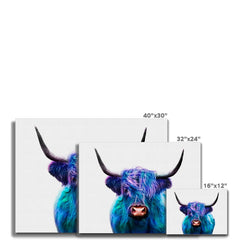 Colourful Blue Highland Cow Canvas Print