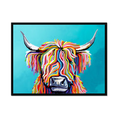 Scottish Cow Framed Print