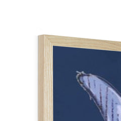 Cheeky Coo In Navy Blue Framed Print
