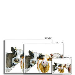 Trios Of Cows Framed Print