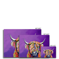 Scottish Coo Canvas Print