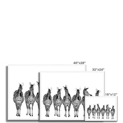Line Of Zebras Framed Print