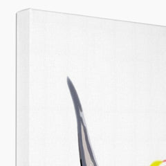 White Highland Cow Canvas Print