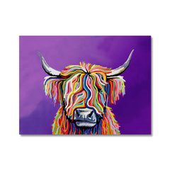 Scottish Coo Canvas Print