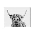 Cheeky Black And White Highland Cow Canvas Print