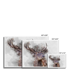 Stag Framed Print