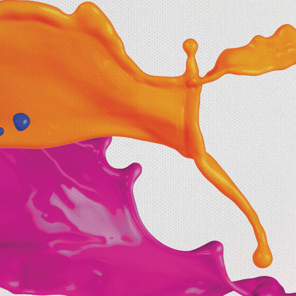 A Splash Of Colour Canvas Print