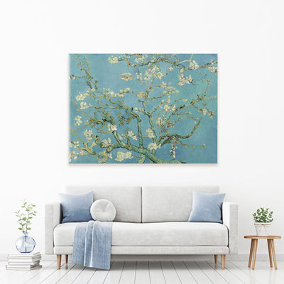 Almond Blossoms Canvas Print