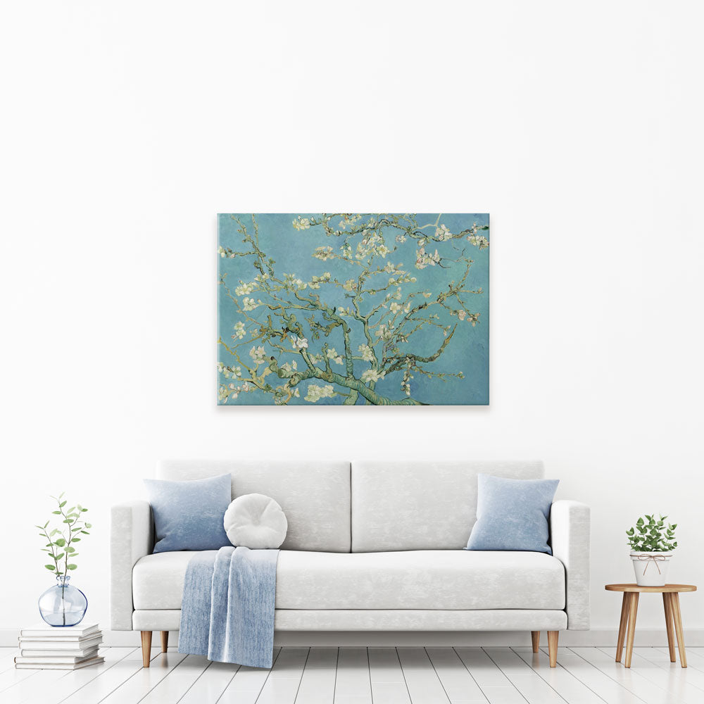 Almond Blossoms Canvas Print