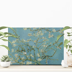 Almond Blossoms Canvas Print
