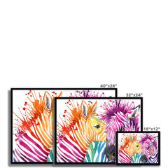 Watercolour Zebra Framed Print