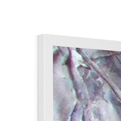 Beautiful Ballerina Framed Print