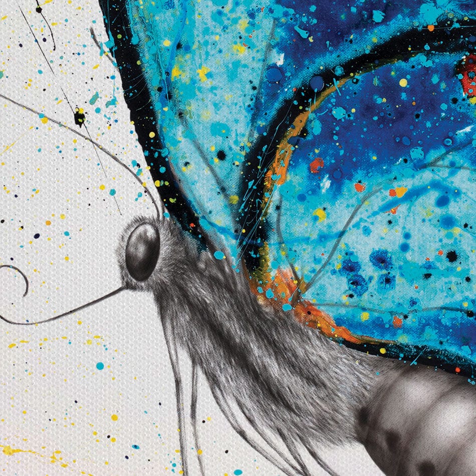 Bloomful Butterfly Canvas Print wall art product Ashvin Harrison