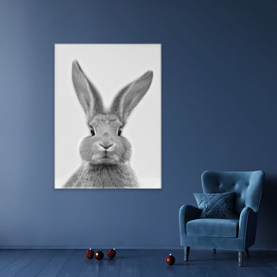 Bunny Rabbit Portrait Canvas Print