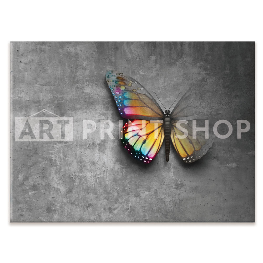 Butterfly Canvas Print