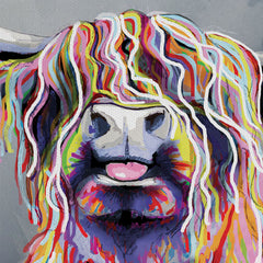 Colourful Highland Coo Canvas Print