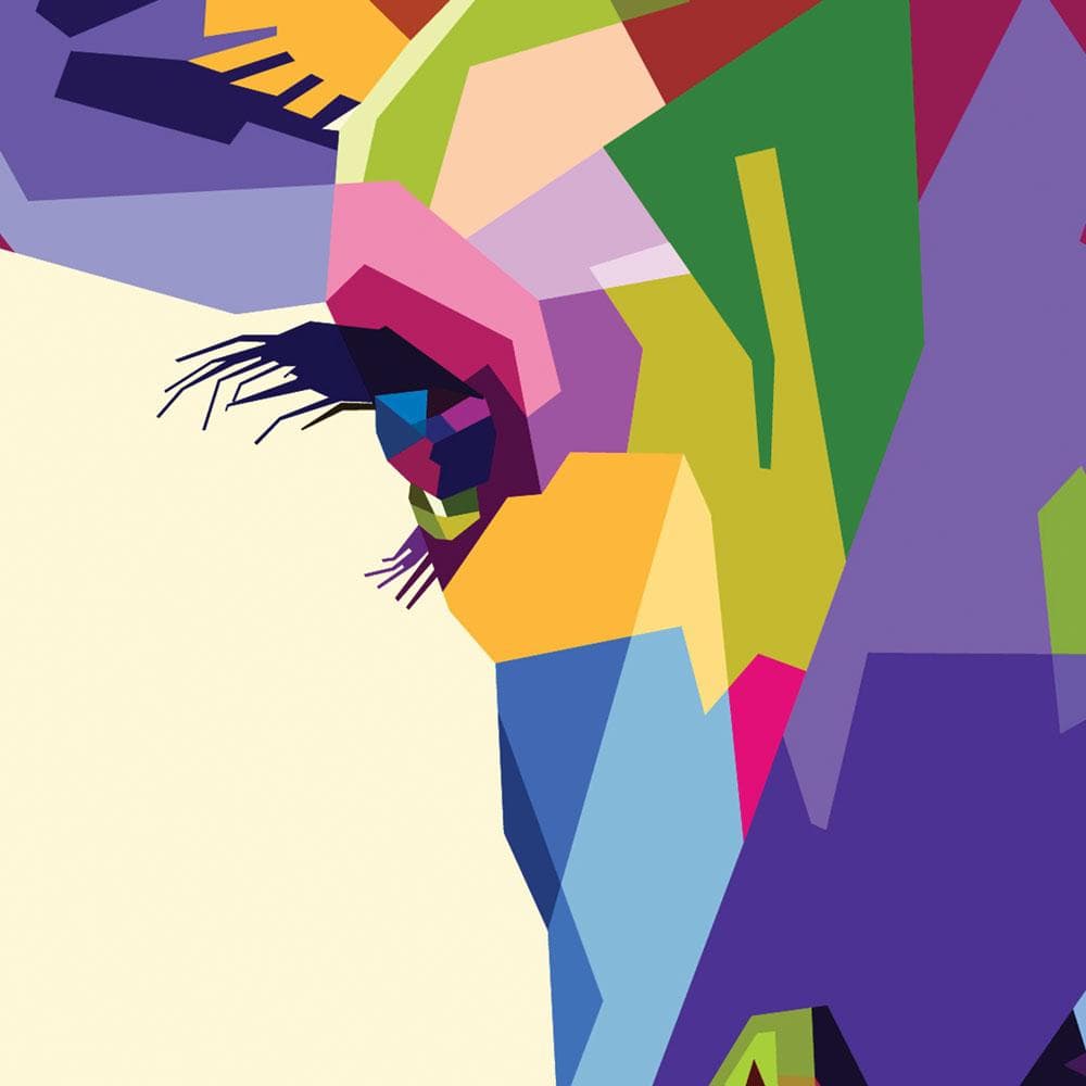 Colourful Giraffe Framed Art Print wall art product Sultan Receh / Shutterstock