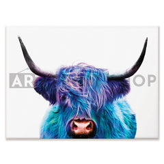 Colourful Blue Highland Cow Canvas Print