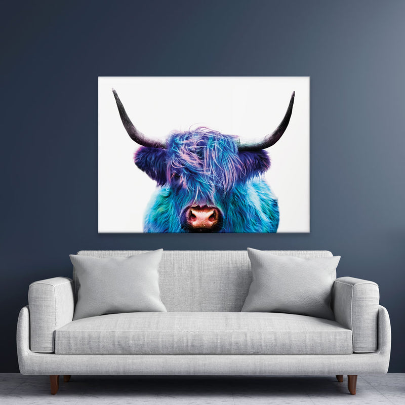 Colourful Blue Highland Cow Canvas Print