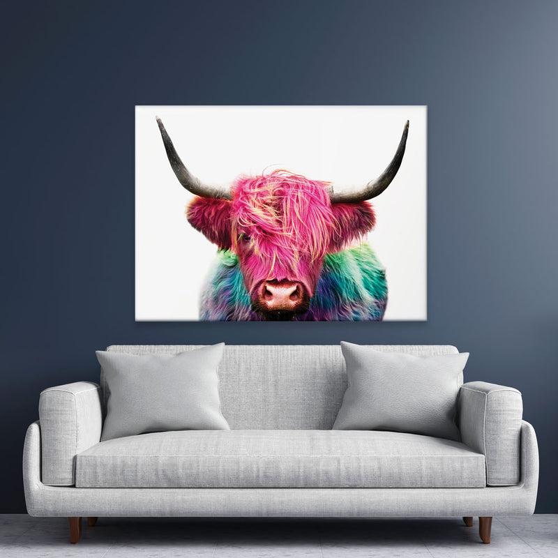 Colourful Pink Highland Cow Canvas Print