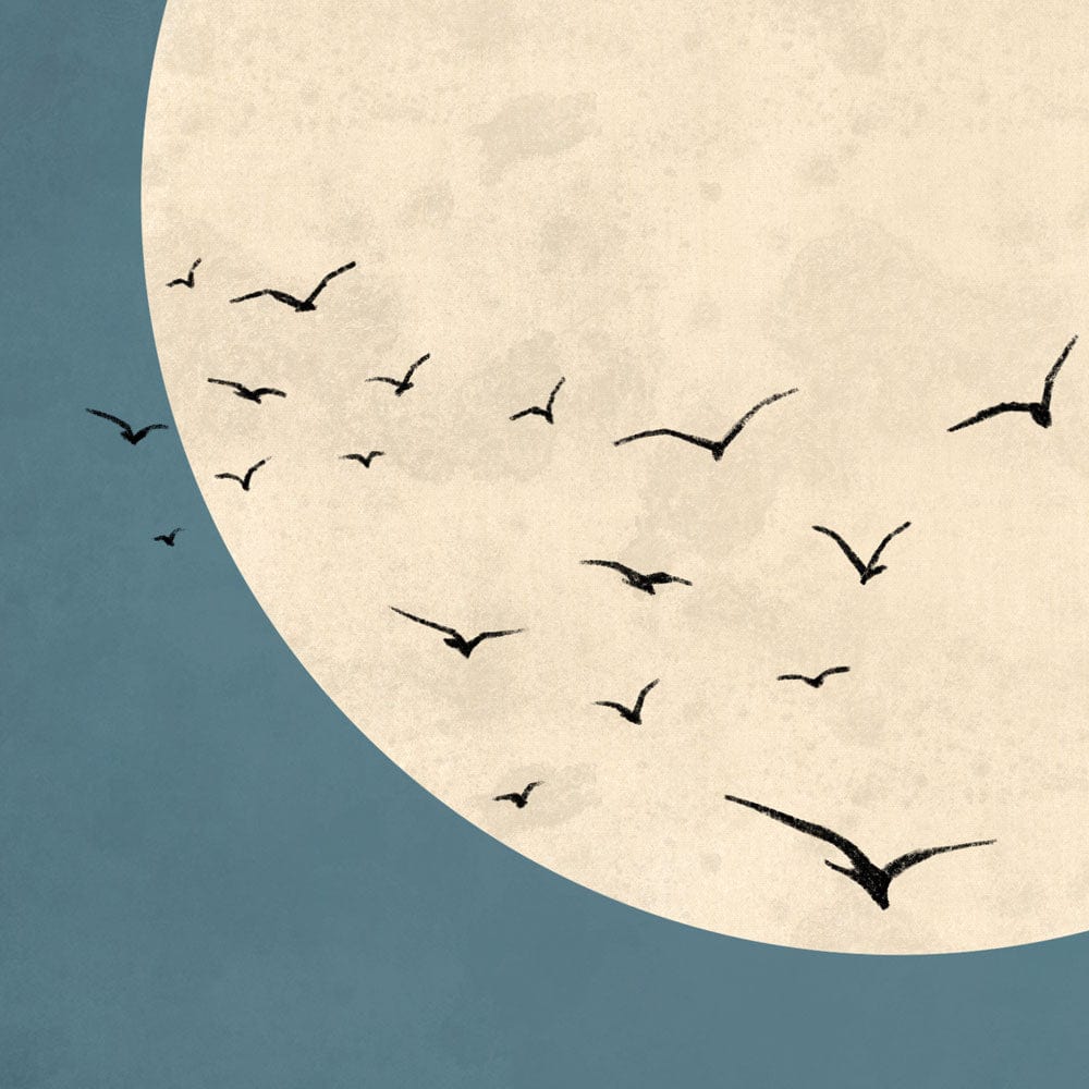 Come Fly With Me Framed Art Print wall art product tubaacik / Shutterstock