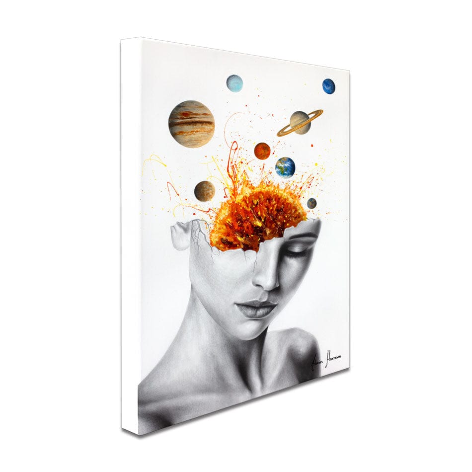 Conscious Universe Canvas Print wall art product Ashvin Harrison