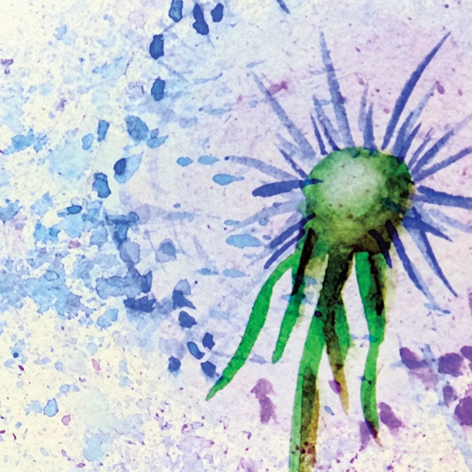 Dandelions In Blue And Purple Framed Art Print wall art product Valenty / Shutterstock