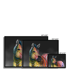 Rainbow Zebra Framed Print