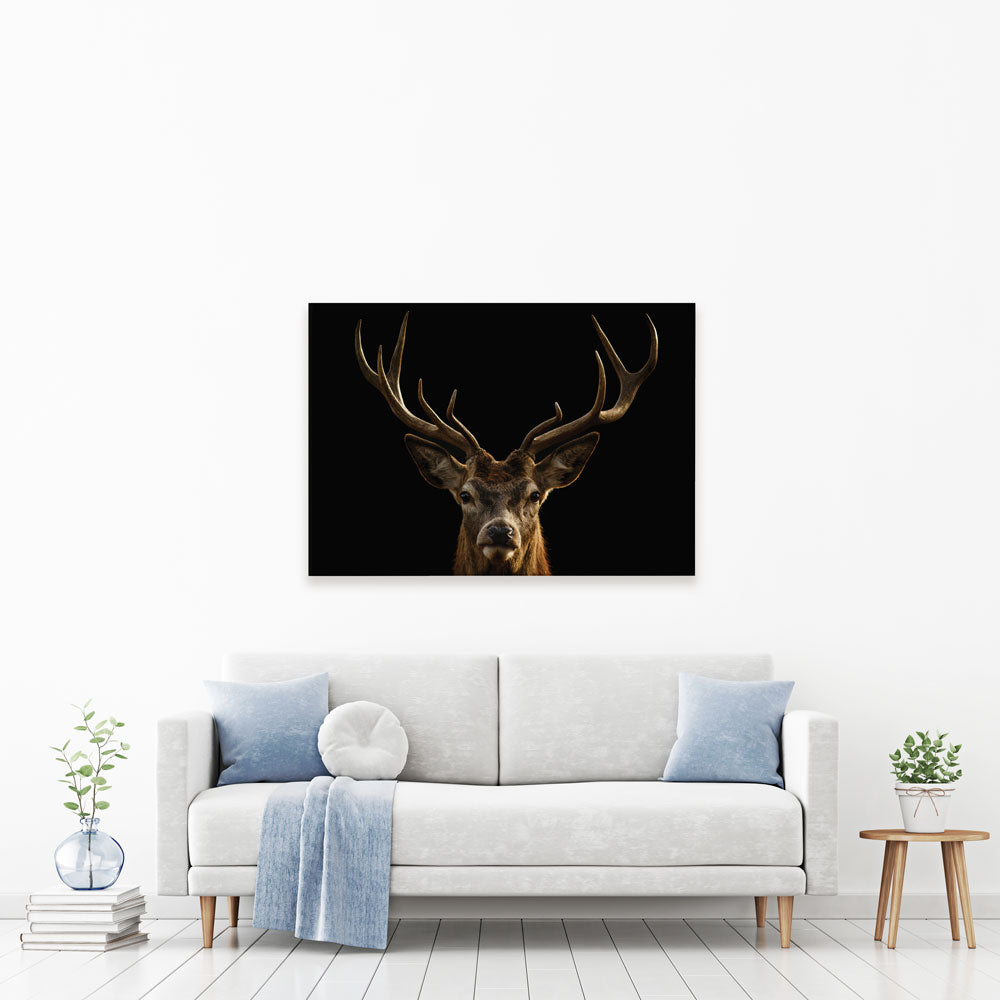 Deer Canvas Print