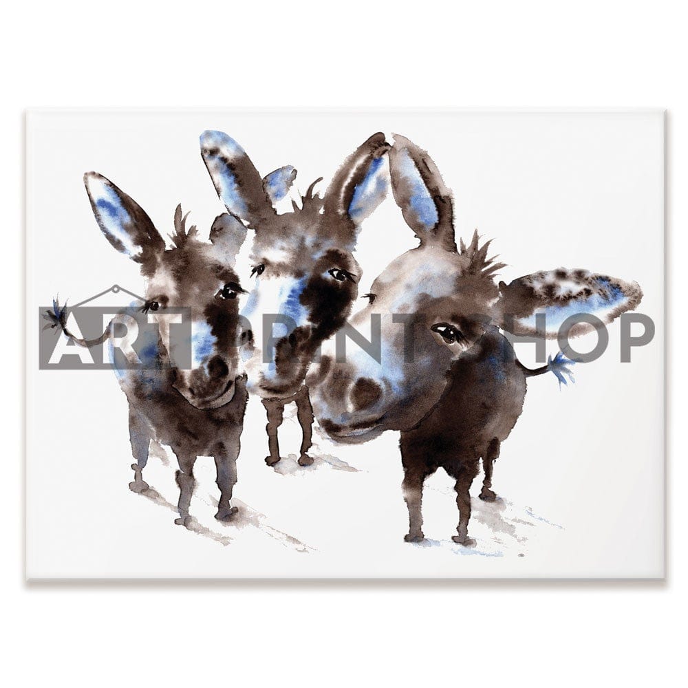 Donkey Meeting Canvas Print wall art product IlonaWinter / Shutterstock