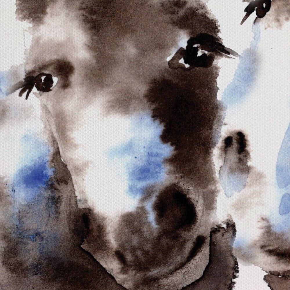 Donkey Meeting Canvas Print wall art product IlonaWinter / Shutterstock