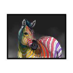 Rainbow Zebra Framed Print