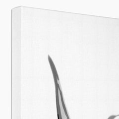 Monochrome Highland Cow Canvas Print
