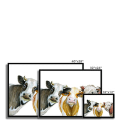 Trios Of Cows Framed Print