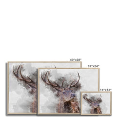 Stag Framed Print