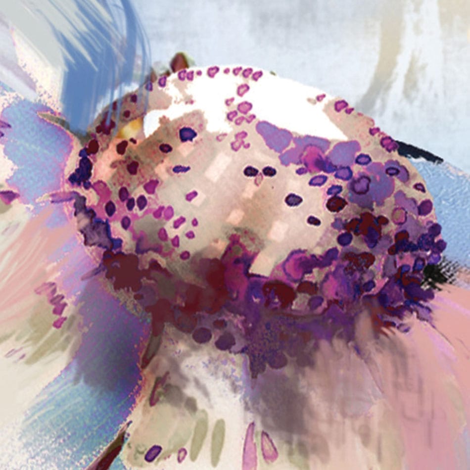 Fabulous Florals Framed Art Print wall art product conch7788 / Shutterstock