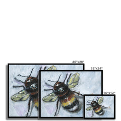 Bumble Framed Print