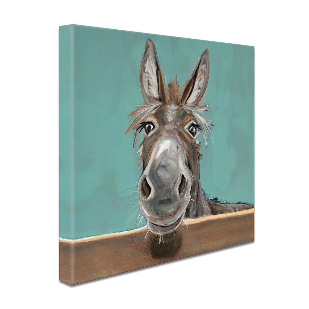 Happy Donkey Square Canvas Print wall art product D MOSCONI / INDEPENDENT
