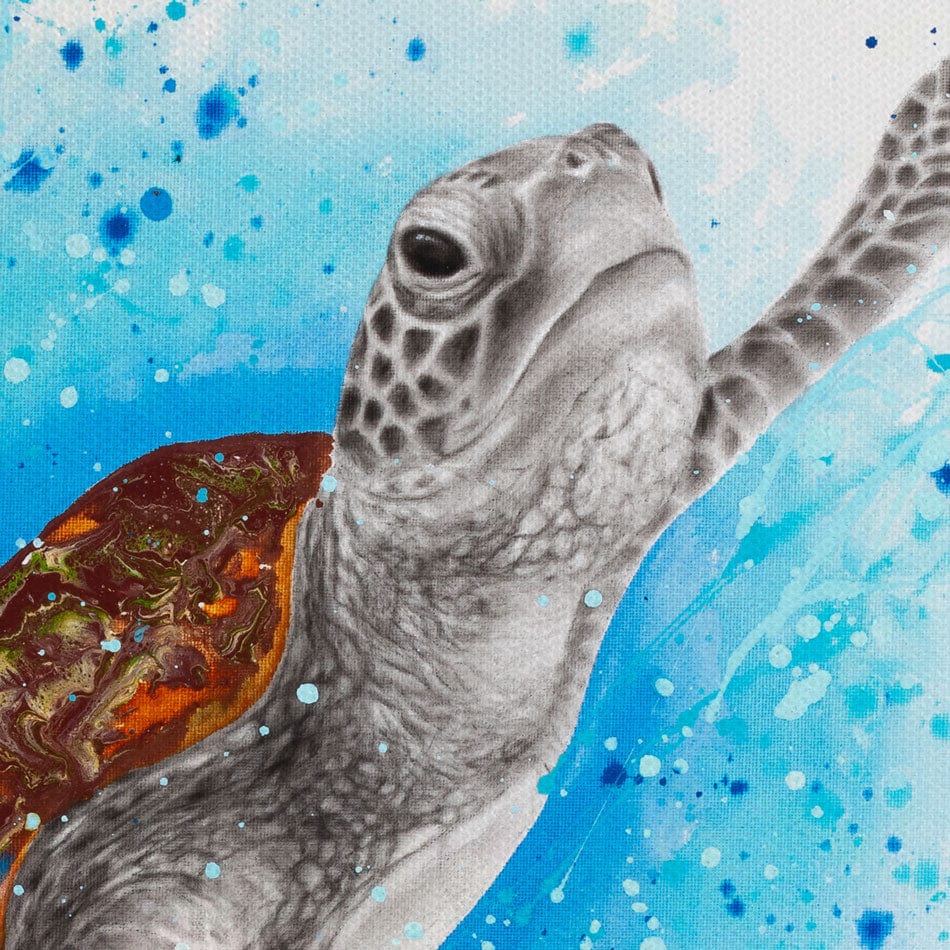 Happy Sea Turtle Canvas Print wall art product Ashvin Harrison