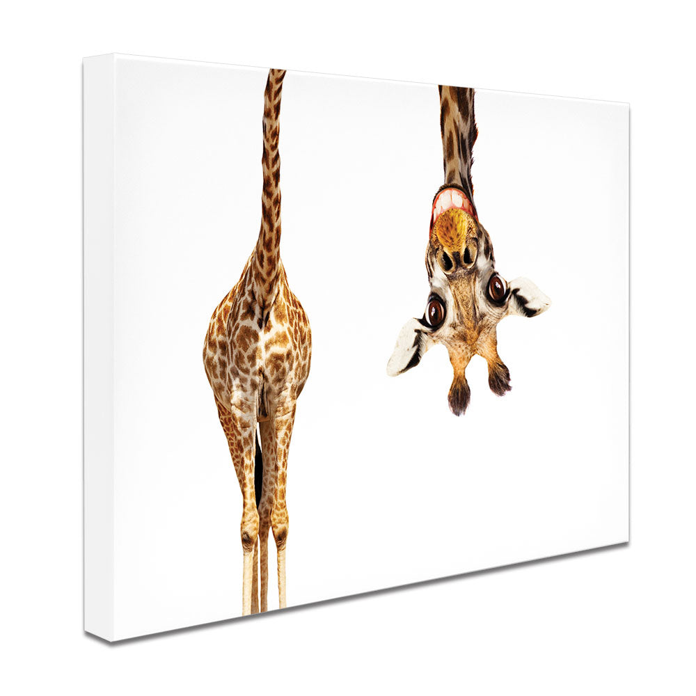 Happy Upside Down Giraffe Canvas Print