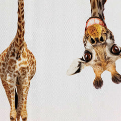 Happy Upside Down Giraffe Canvas Print