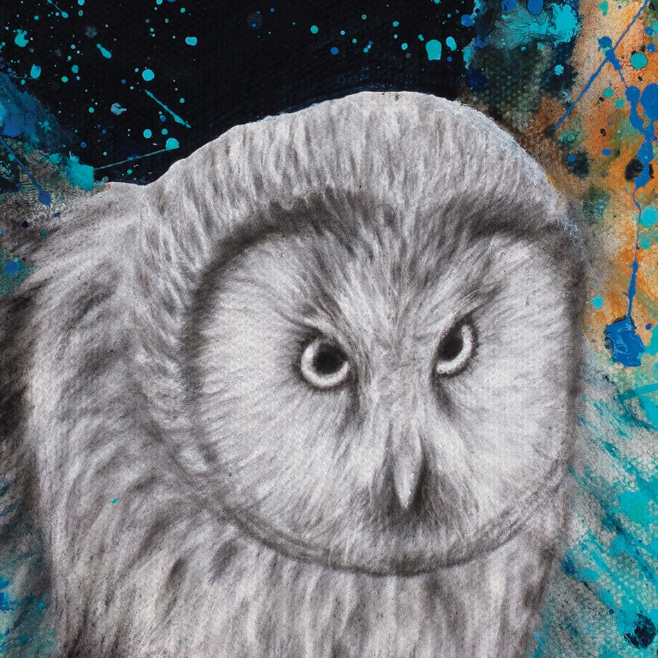 Illuminated Night Owl Canvas Print wall art product Ashvin Harrison