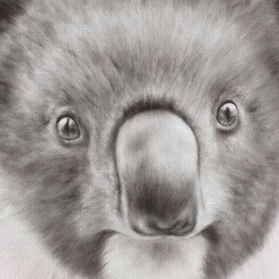 Koala Pride Canvas Print wall art product Ashvin Harrison