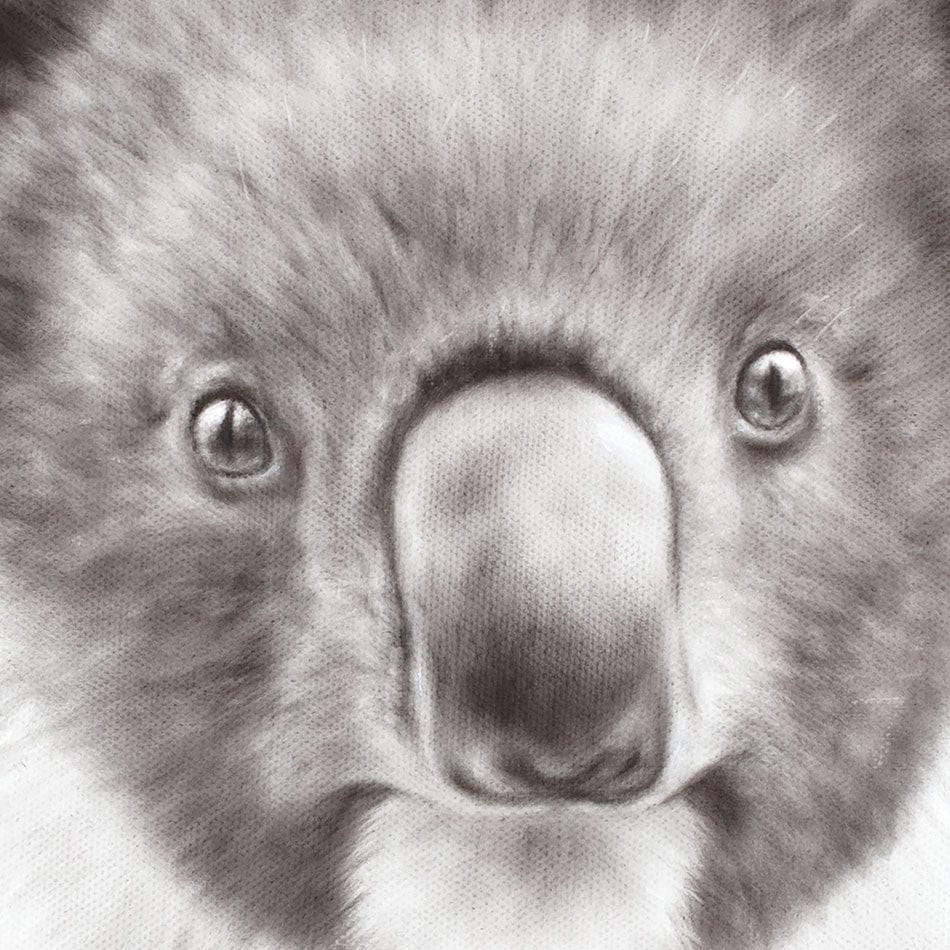 Koala Pride Framed Art Print wall art product Ashvin Harrison