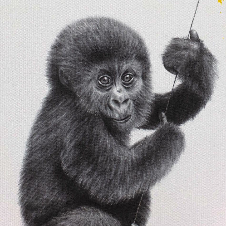 Little Monkeys Duo Canvas Print wall art product Ashvin Harrison