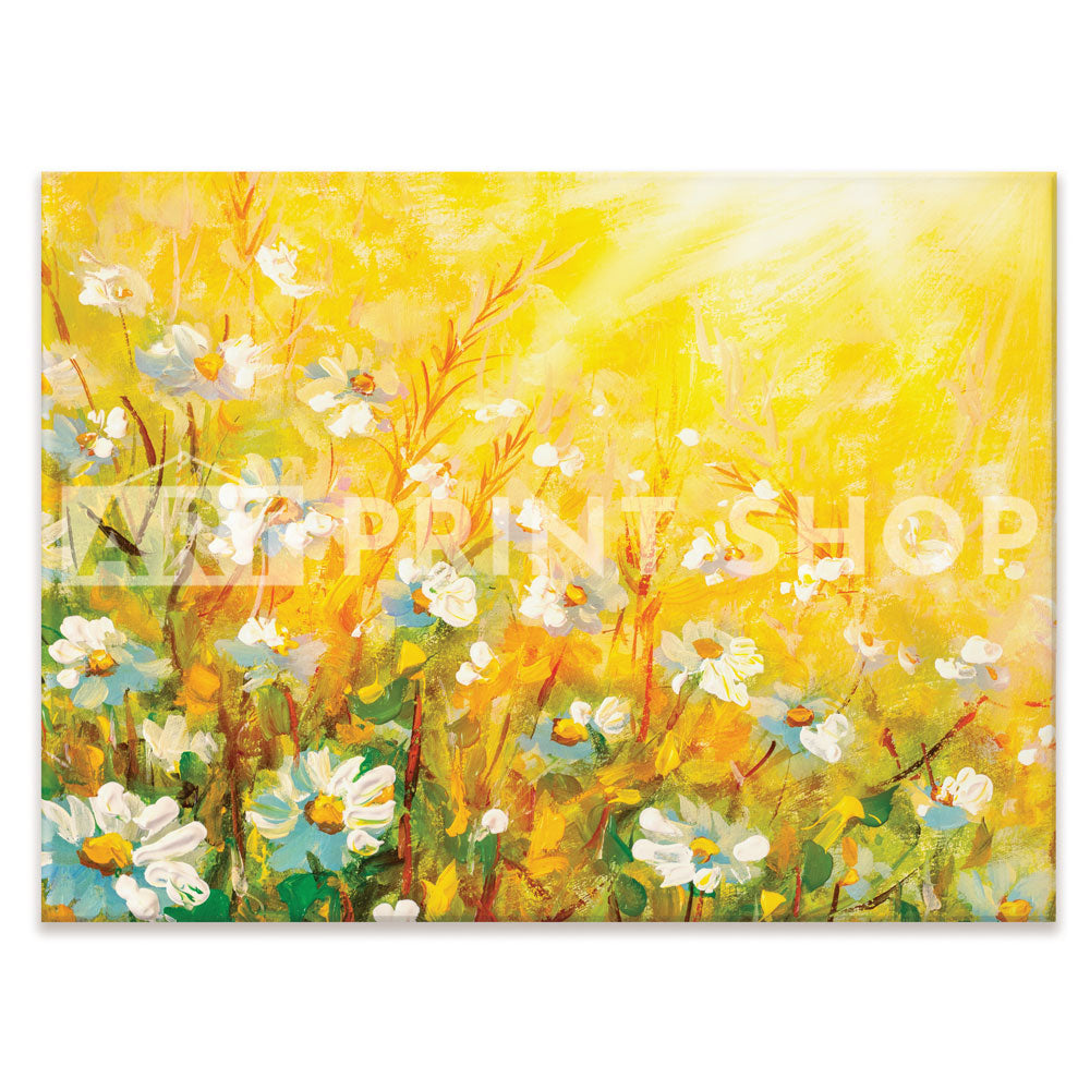 Meadow In Spring Canvas Print