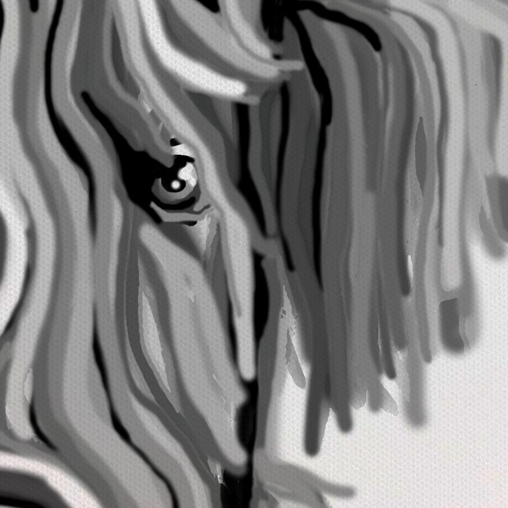 Monochrome Highland Cow Portrait Canvas Print wall art product Independent