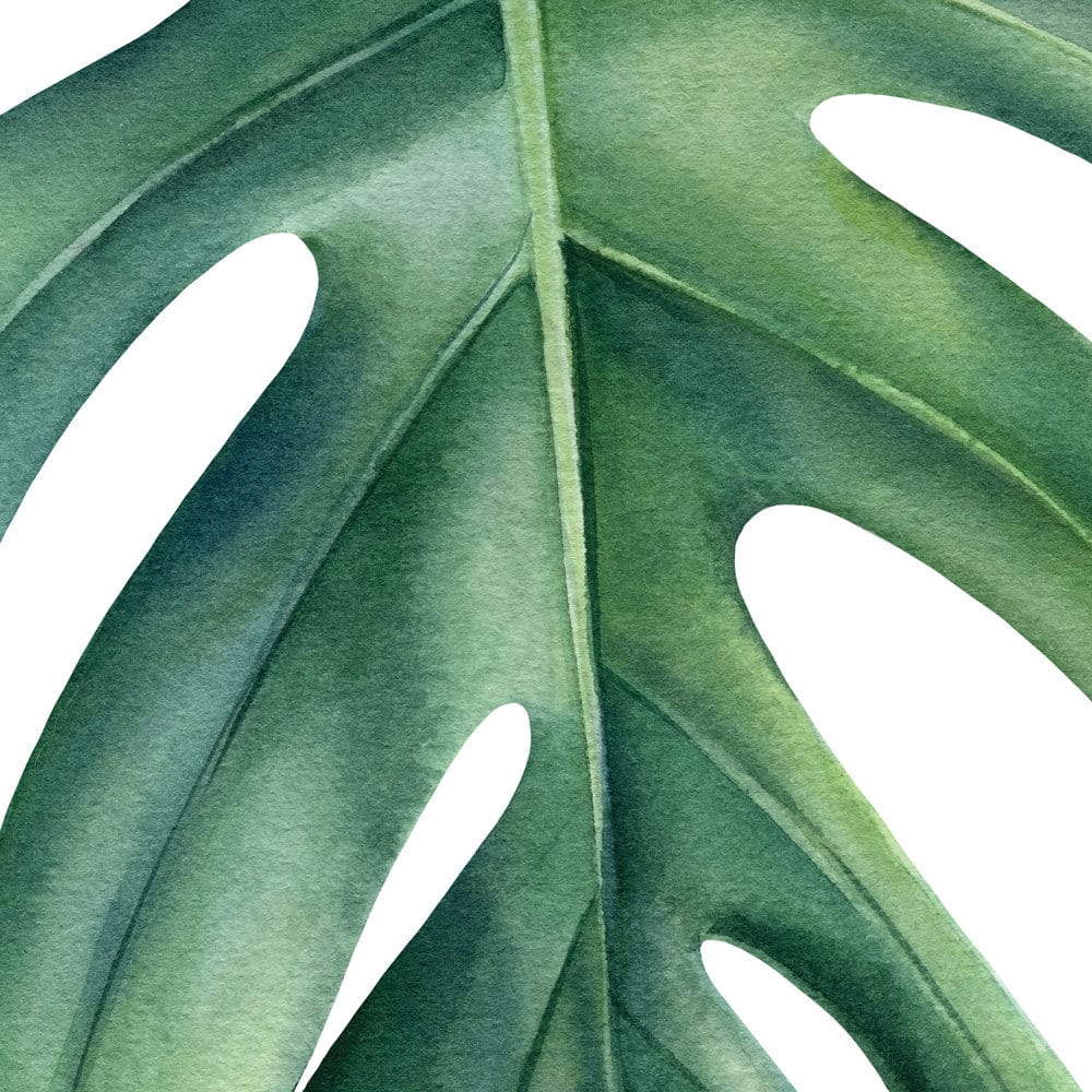 Monstera Framed Art Print wall art product Gringoann / Shutterstock