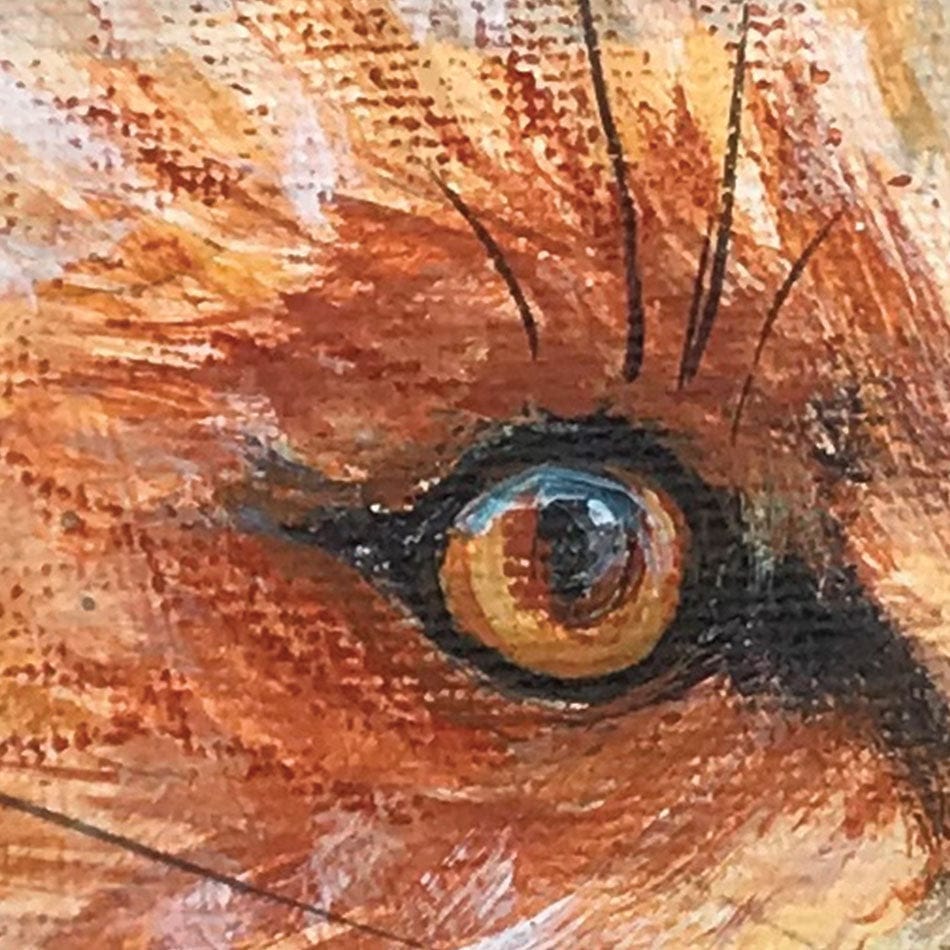 Mr Fox Framed Art Print wall art product Jane Brookshaw