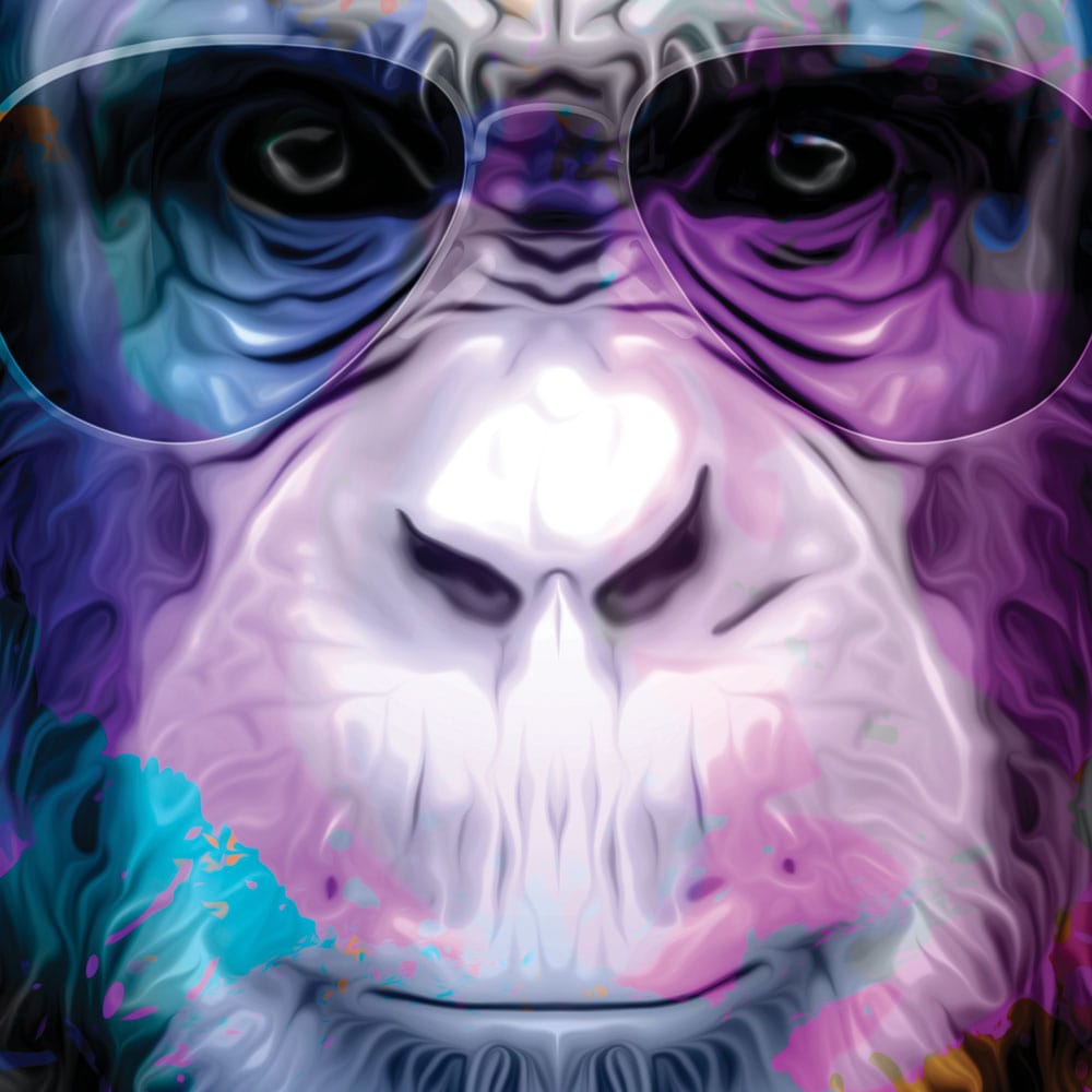 Multicoloured Monkey Framed Art Print wall art product ARTEMENKO VALENTYN / Shutterstock